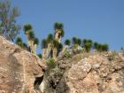 thumbs/041030_Mexico 099.jpg